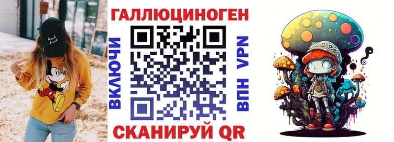 Купить где  Липки  Псилоцибиновые грибы GOLDEN TEACHER 